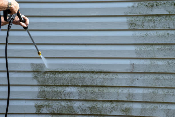 Best Storm Damage Siding Repair  in Rossville, TN