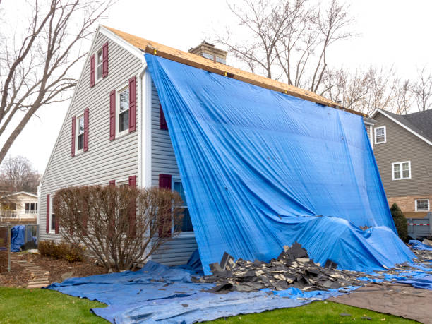 Best Historical Building Siding Restoration  in Rossville, TN